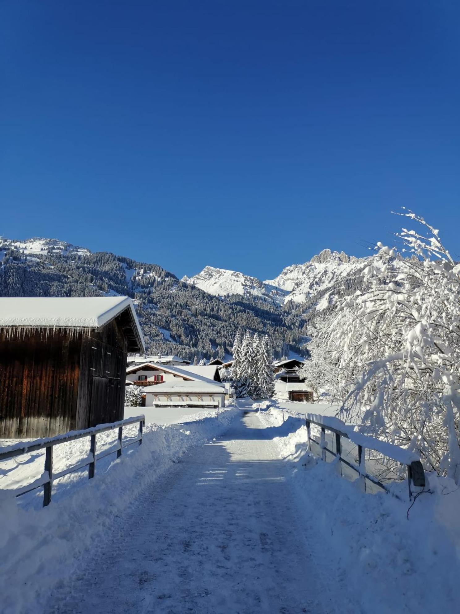 Alpapart Hornberg Hofen Exterior photo