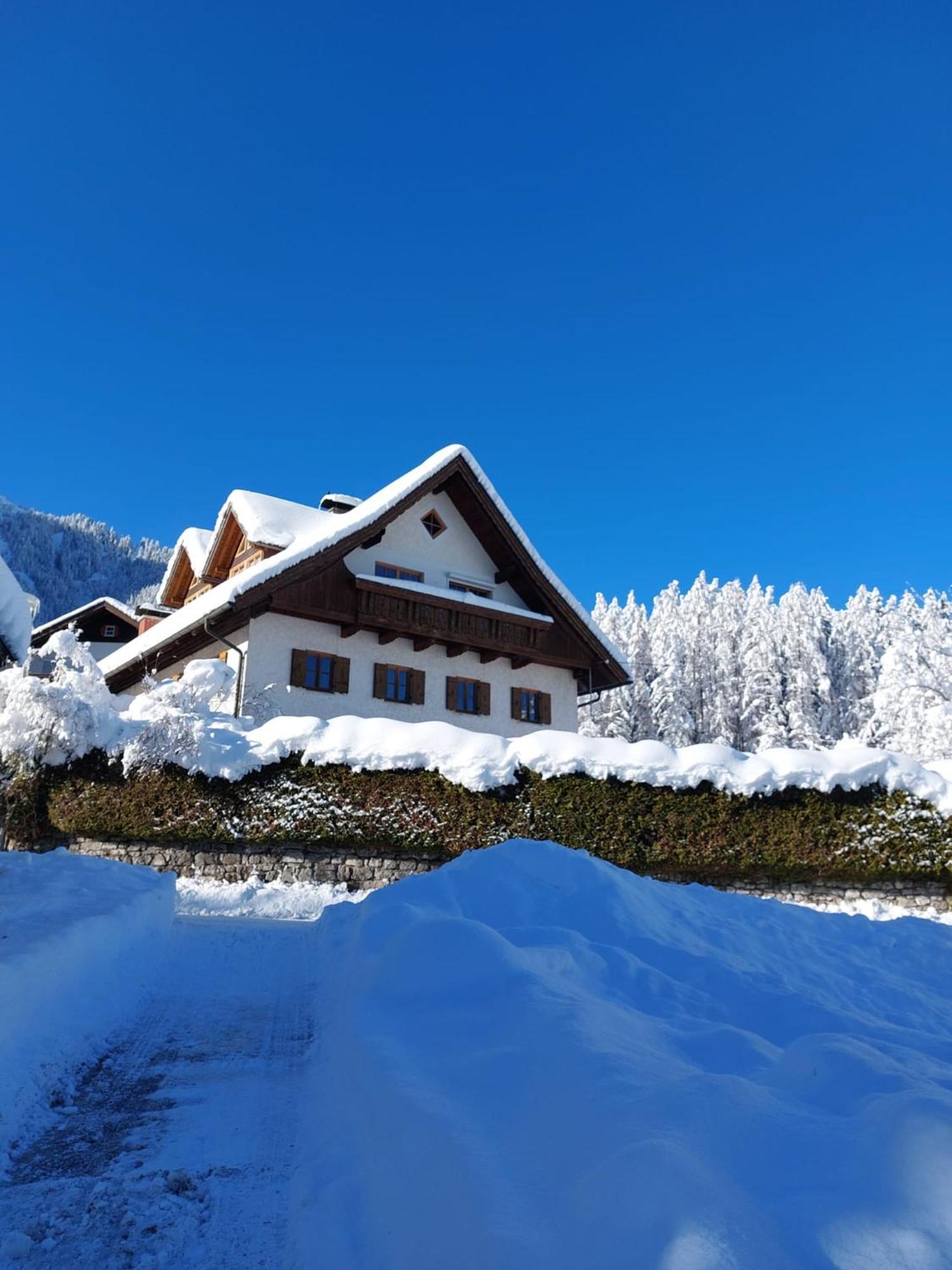 Alpapart Hornberg Hofen Exterior photo